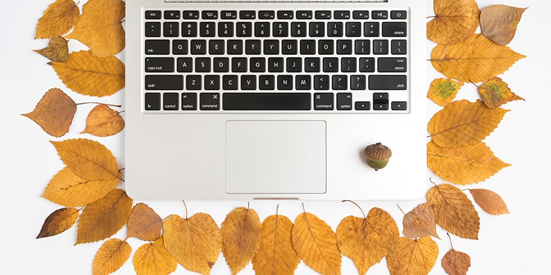 Campañas De Marketing Para El Otoño Conecta Con Las Emociones De Tu Audiencia